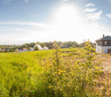 Important advice for buying a property