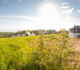 Why a soil report is important