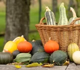 You should keep this in mind when it comes to traditional fall vegetables